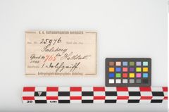 Etikett zu Bronzeantennendolchgriff (NHMW-PRAE-025976)